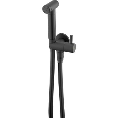 Deante Bidetta ensemble hygiénique noir mat, robinet WC eau froide avec douchette et flexible 120 cm.